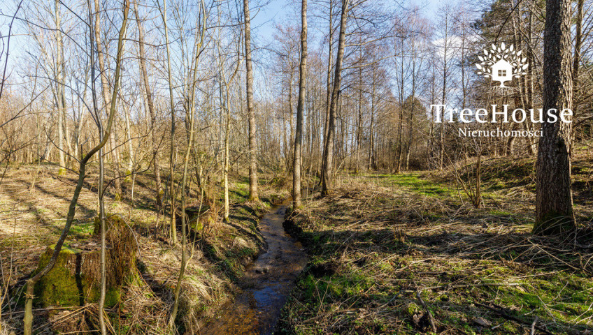 Działka Sprzedaż Nowa Wieś Wielka