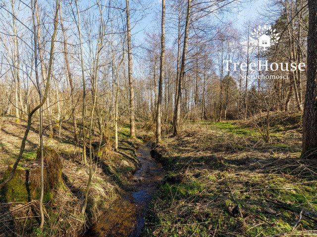 Działka Sprzedaż Nowa Wieś Wielka